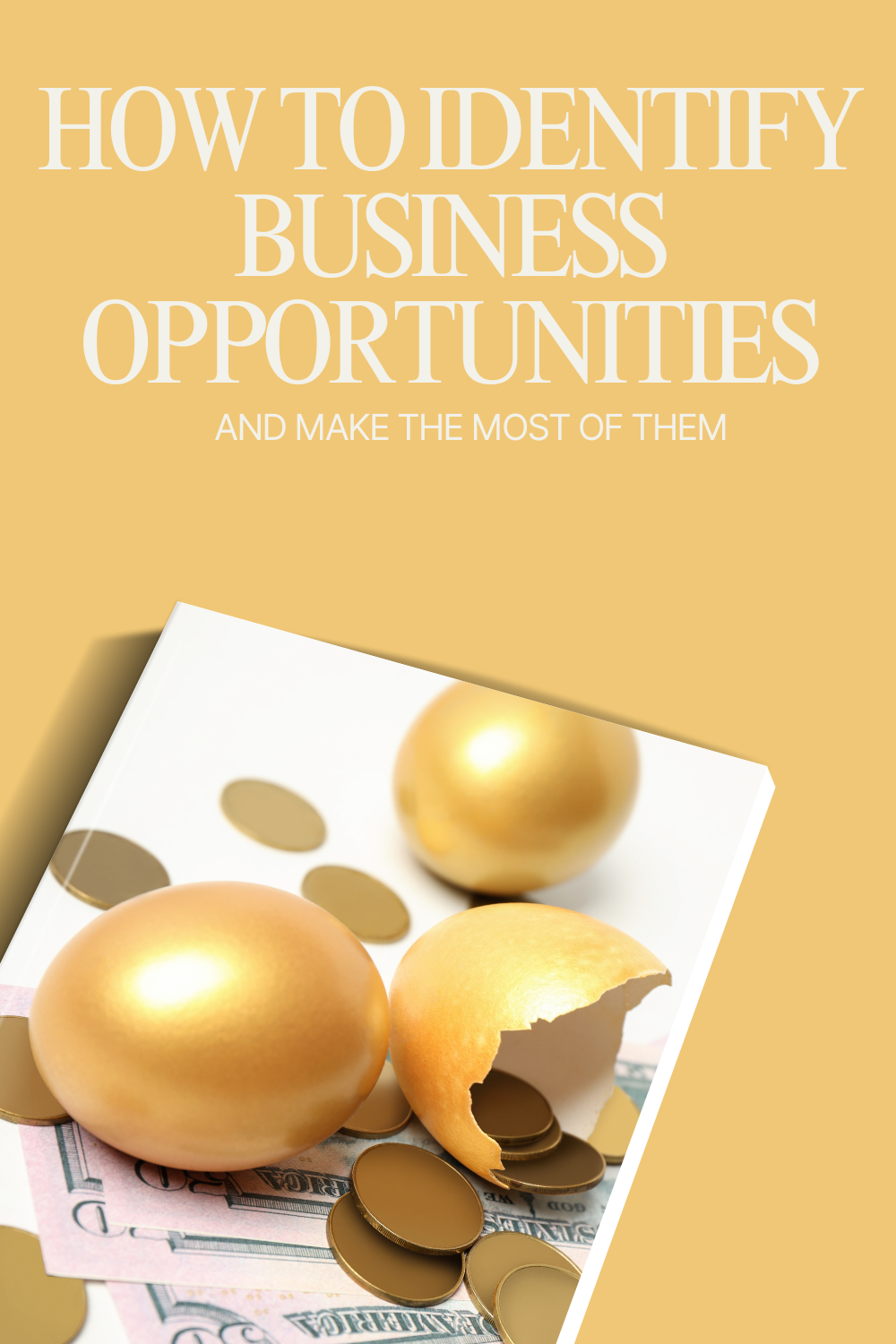 How to Identify Business Opportunities